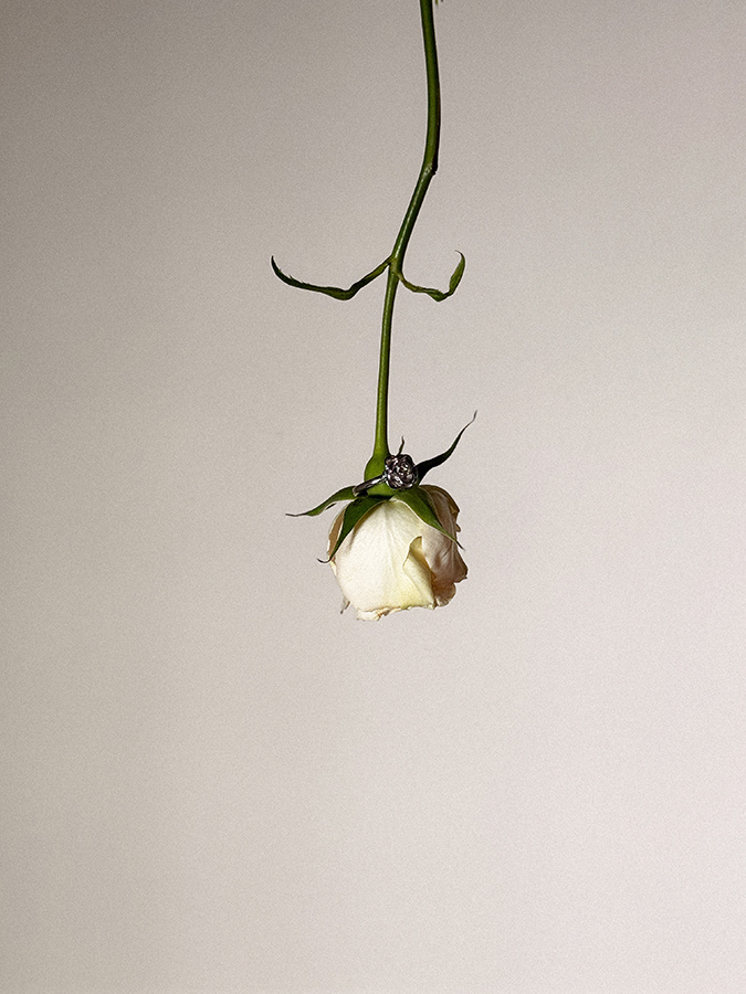 Pierścionek srebrny róża Anello D'Argento N°6