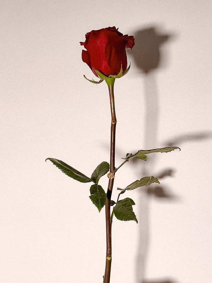 Pierścionek srebrny pozłacany róża Anello D'oro N°5