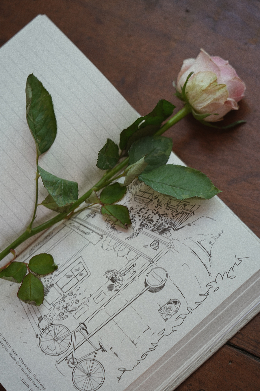 Planer Roses&Notes